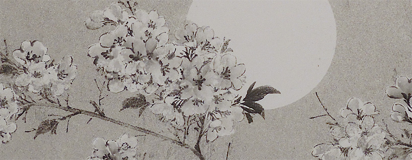 墨染桜